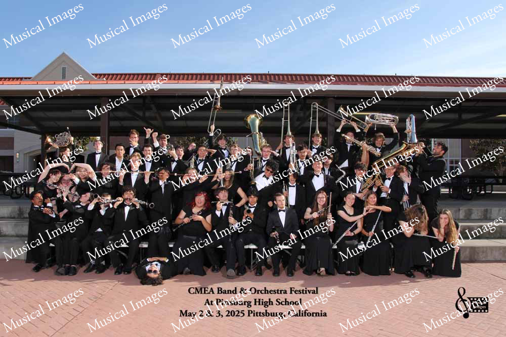 Musical Images
